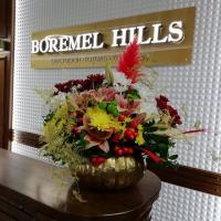 BOREMEL HILLS (готель) фото #1