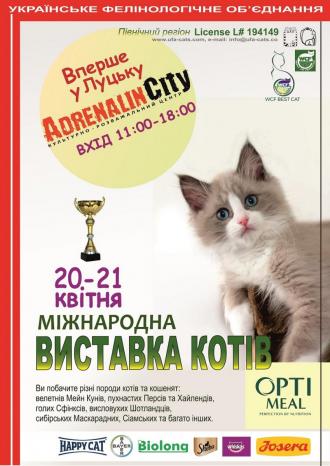 постер Міжнародна виставка котів &quot;Вперше у Луцьку&quot;